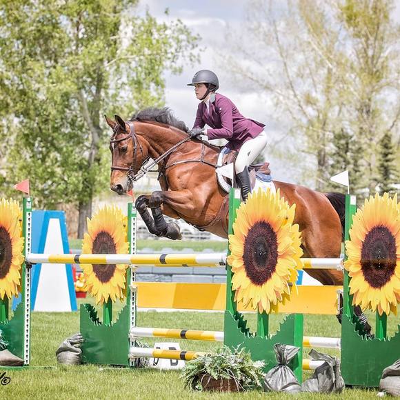 Meet your Posher, Amanda - Picture 1 of 1